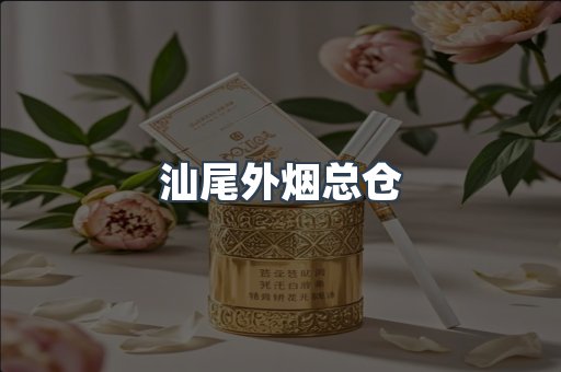 汕尾外烟总仓